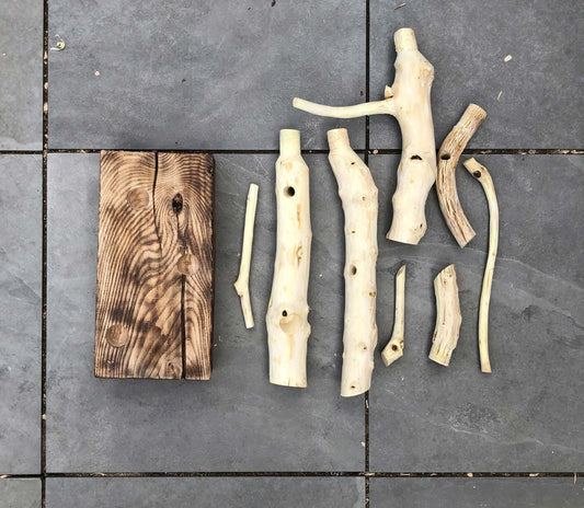 "Preserved" Stool - Omid Jahankhani - Price Available on Request