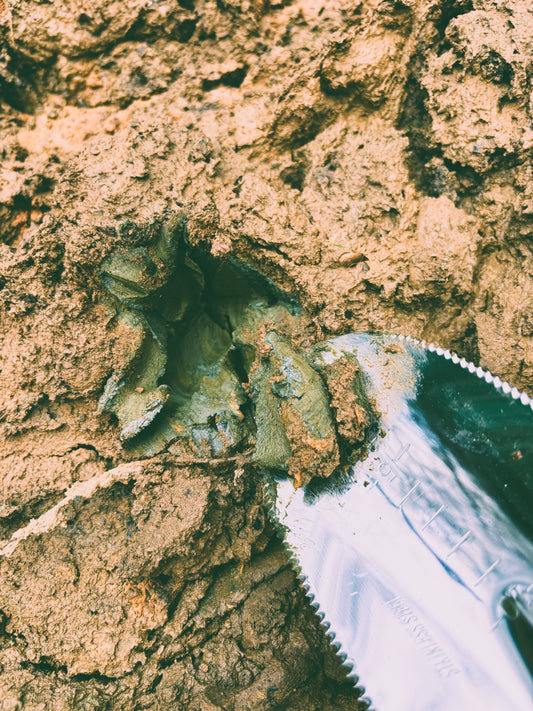 The Salvaged Roots Pot - Price on Request