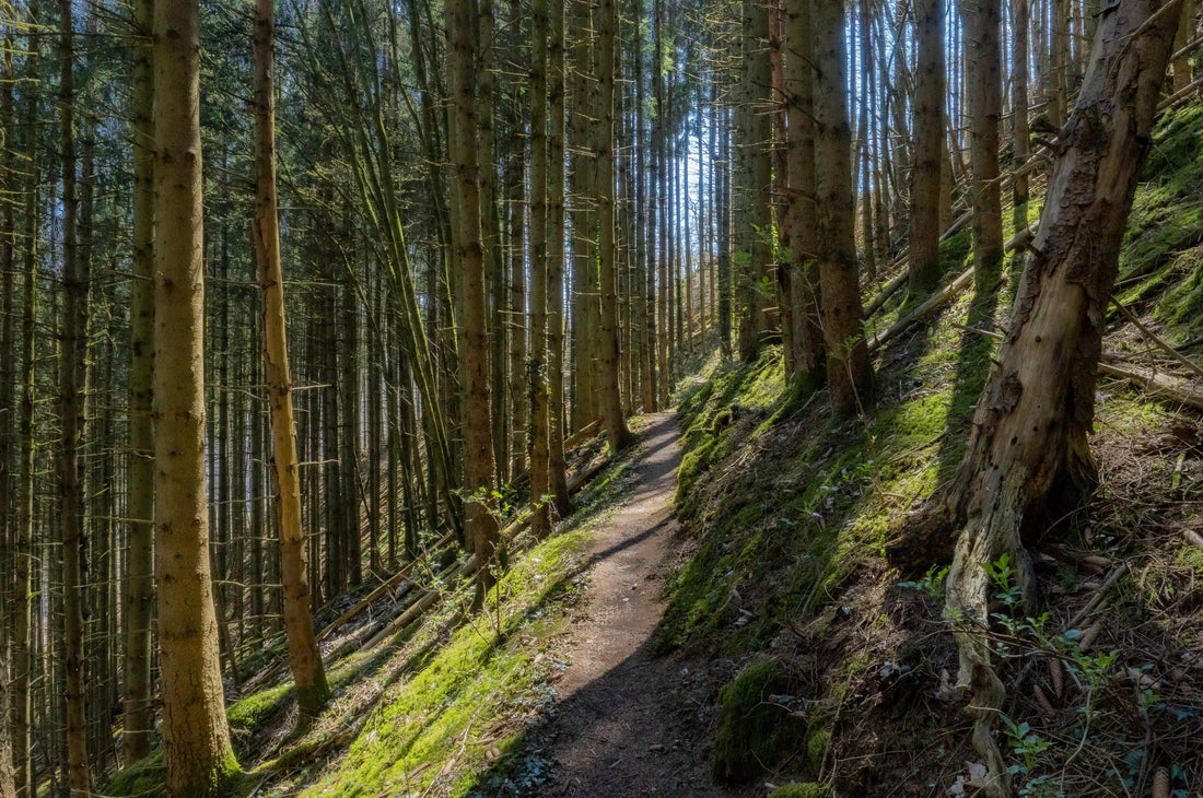 Under the Canopi – A Close Up on Fast Furniture