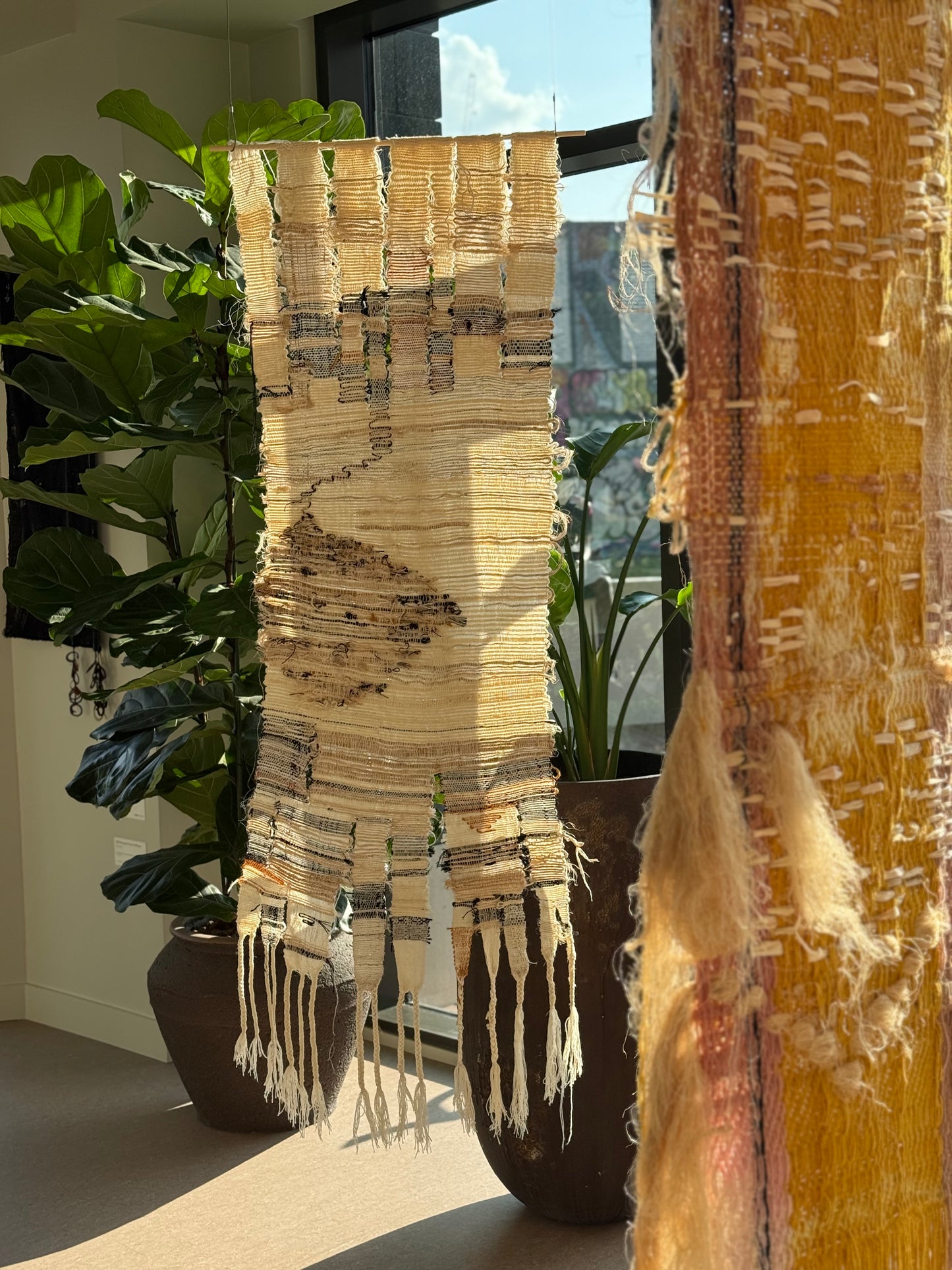 "बिंदु (Bindu) 50 hours to emerge"