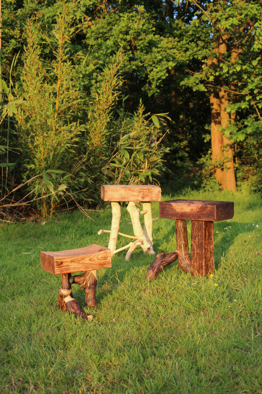 "Preserved" Stool - Omid Jahankhani - Price Available on Request