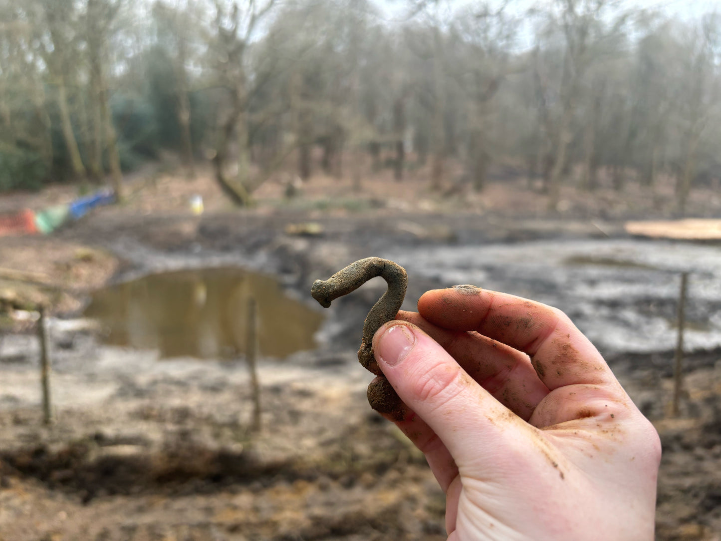 Echoes in Clay Pot - Price on Request