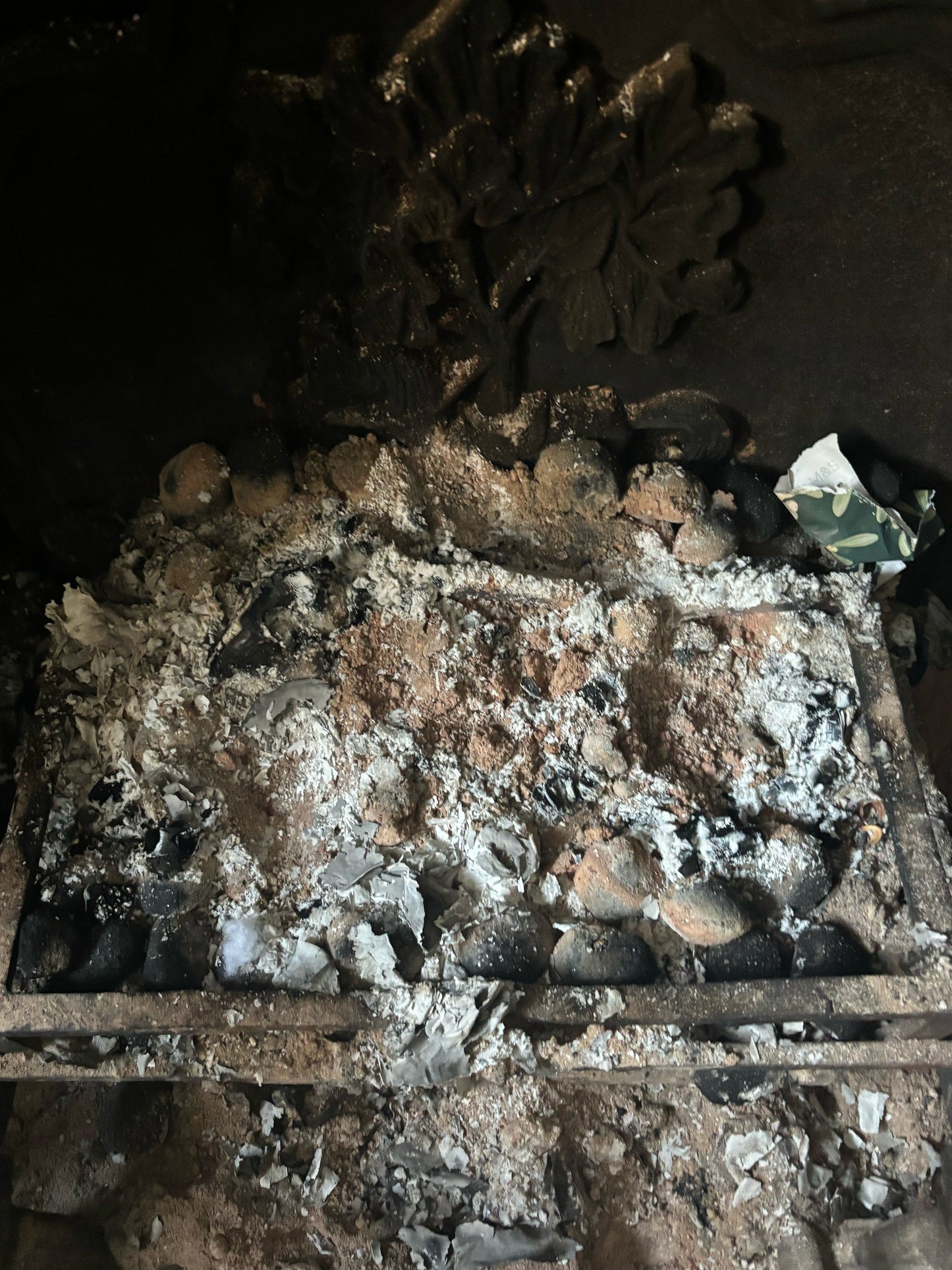 Echoes in Clay Pot - Price on Request